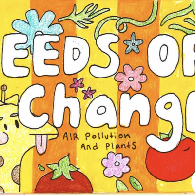 Hand-drawn cover of a student-made Zine titled "Seeds of Change"